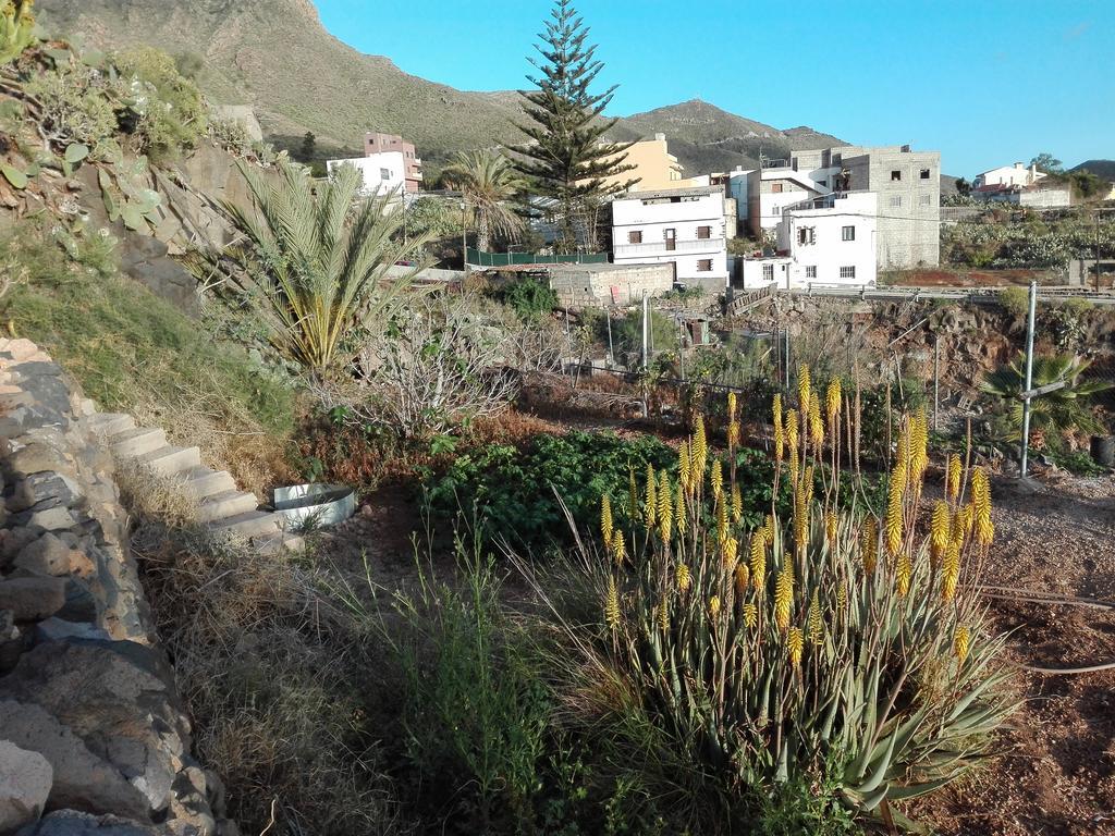 Finca Patio Canario Arona (Tenerife) Exterior foto