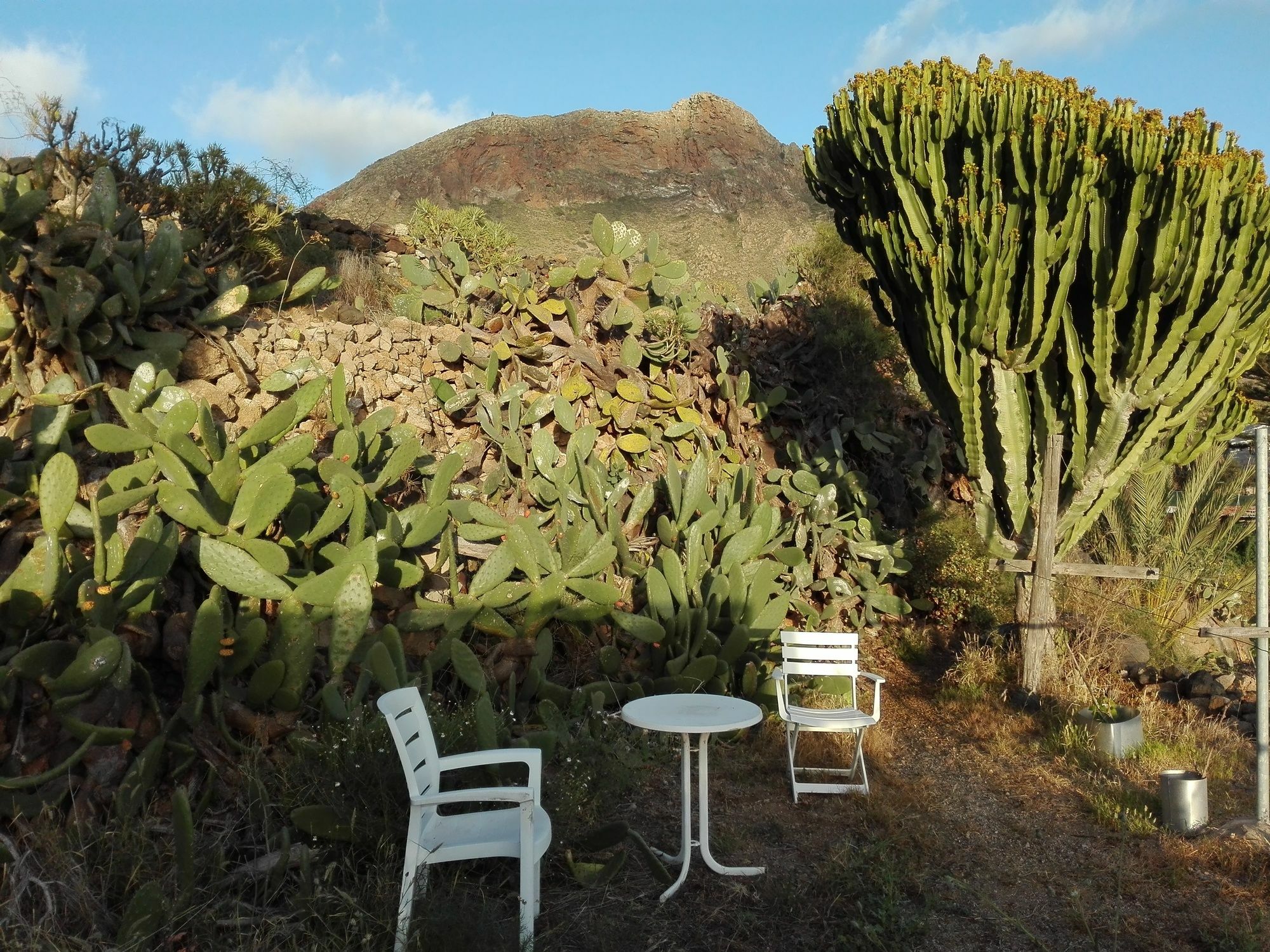 Finca Patio Canario Arona (Tenerife) Exterior foto